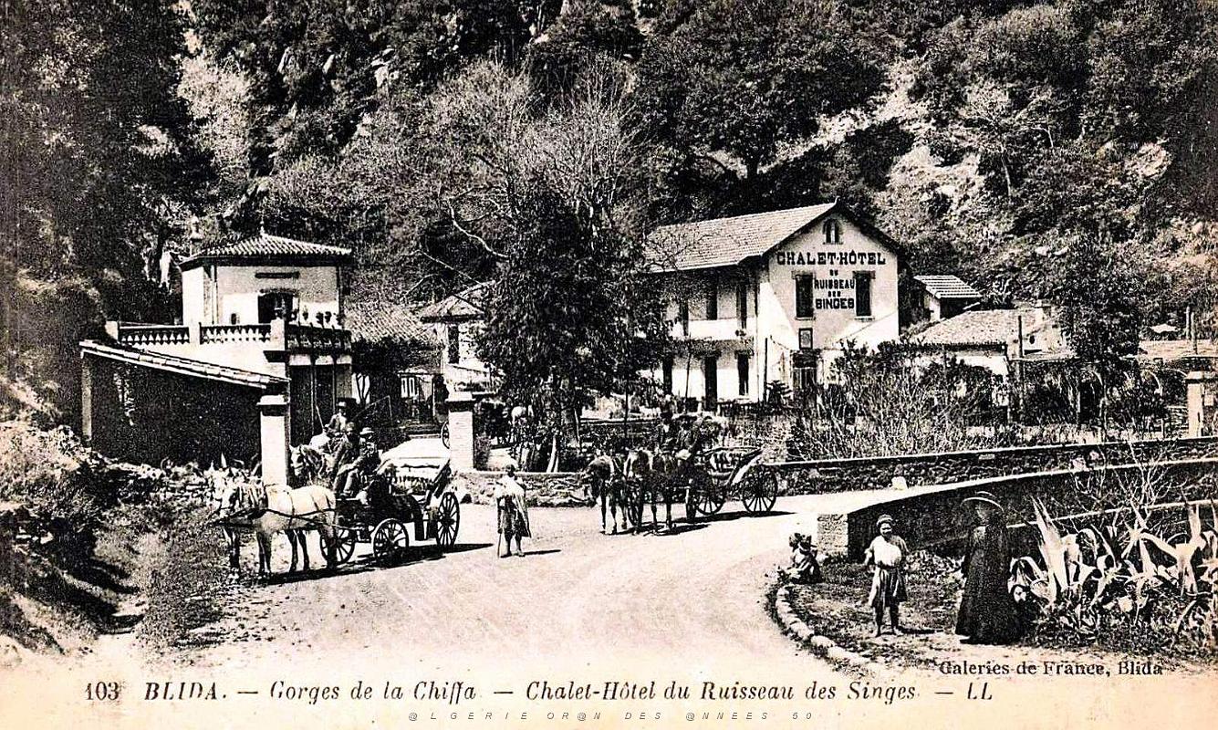 2214- Blida - Gorges de la Chiffa - Chalet-Hotel du Ruisseau des Singes.jpg